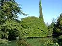 Парк южные культуры в Адлере - он находится не в лучшей форме но там есть очень много чего интересного - бамбуковая роща аллея из эвкалиптов пару прудов и много растительности